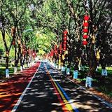 友爱湖泊L7H头像