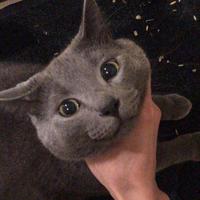 五月的百川头像