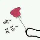 本尊104651的个人资料头像