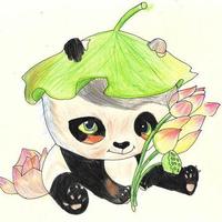 用户8032304574637头像