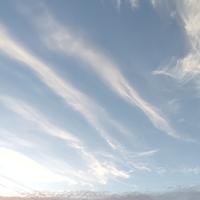 芜湖来来来头像