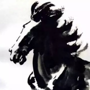 码头码农的个人资料头像