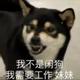 桃花脸 · 马自达6车主·车龄18年头像