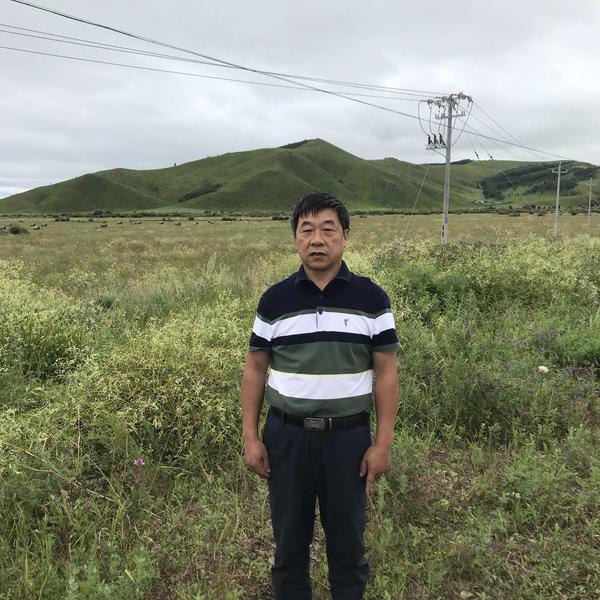 勇往直前博学鱼儿头像