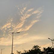 Michael的个人资料头像