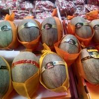 山东瓜子哥在遵义头像