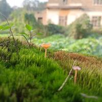 懂车帝卖车专家方玉豪头像