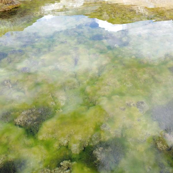 浪迹天涯头像