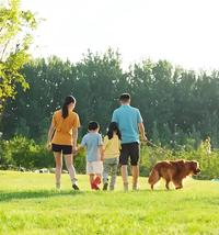 玉环安心耀祖汽车销售头像