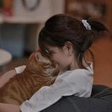 久歌（天花板人物）头像