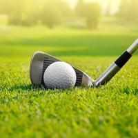 乐观的王较瘦头像