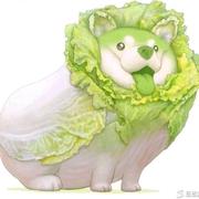 vansman的个人资料头像