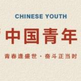 眺望a头像