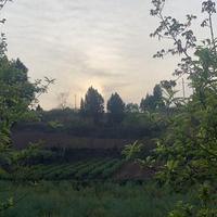 用户6592977636110头像