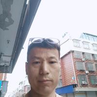 我一只小小鸟头像