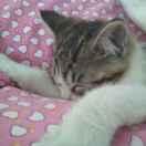 轻不狂的个人资料头像