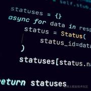 xinla的个人资料头像