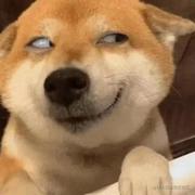 求知若渴虚心若愚嗨的个人资料头像