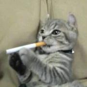 廾匸886的个人资料头像