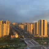 聪明的橙子D3v头像