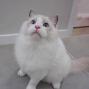 Jang681的个人资料头像