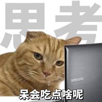 柒次元橙皮皮ᰔ头像