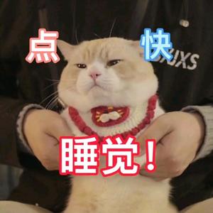 给我吃炒饭头像