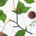 路路通教育头像