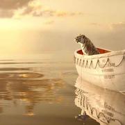 贾开明的个人资料头像