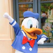 脑子只有学习的个人资料头像