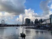 猫大人60的个人资料头像