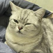 LC469的个人资料头像