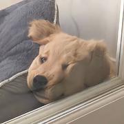 鞋头冠军的个人资料头像