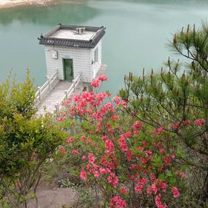 勇闯天涯7z4x头像