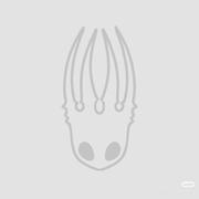 装死的个人资料头像