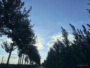 海边起风了的个人资料头像