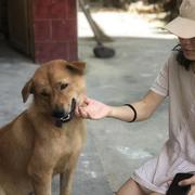 泫然的个人资料头像