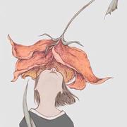 木良885的个人资料头像