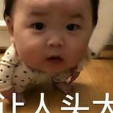 一人一城6229头像