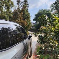 大海77399589头像