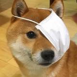 ㅤㅤㅤㅤ20341头像
