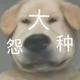 知心网友刚田武头像