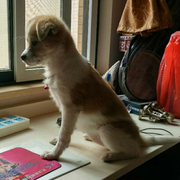 XLI1216的个人资料头像