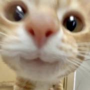 用户58796788881的个人资料头像