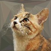 LongST的个人资料头像