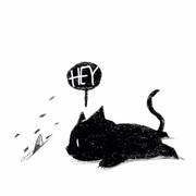 best_bang的个人资料头像