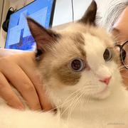 不能再秃了的个人资料头像