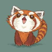 哈哈的程序员的个人资料头像