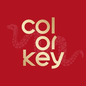 珂拉琪colorkey官方旗舰店头像