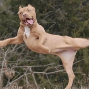 OdysseyOfZ的个人资料头像